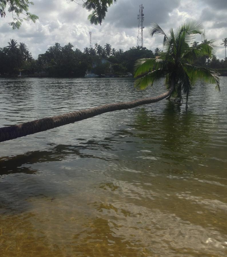 Supun Villa Bentota Bagian luar foto